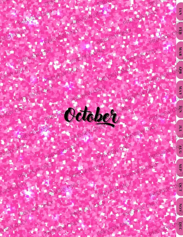 Pink & Sparkly | PLR Planner - 2025 Private Label Rights