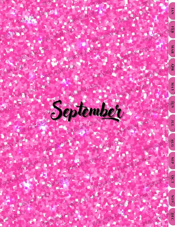 Pink & Sparkly | PLR Planner - 2025 Private Label Rights