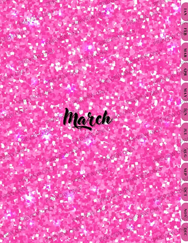 Pink & Sparkly | PLR Planner - 2025 Private Label Rights