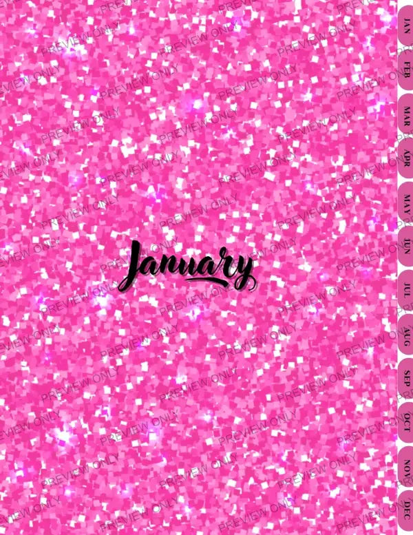 Pink & Sparkly | PLR Planner - 2025 Private Label Rights