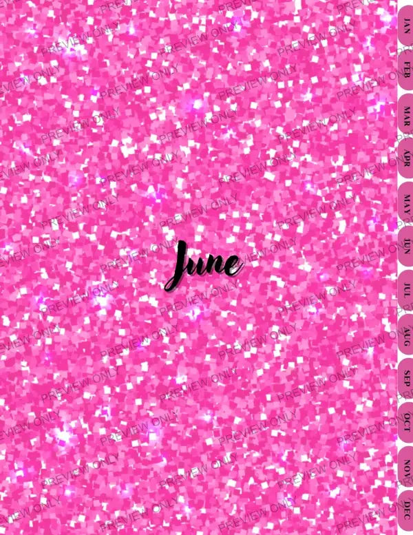 Pink & Sparkly | PLR Planner - 2025 Private Label Rights