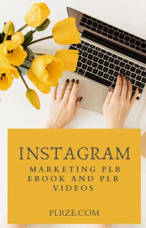 Instagram Marketing PLR Ebook and Videos - 2024 Private Label Rights
